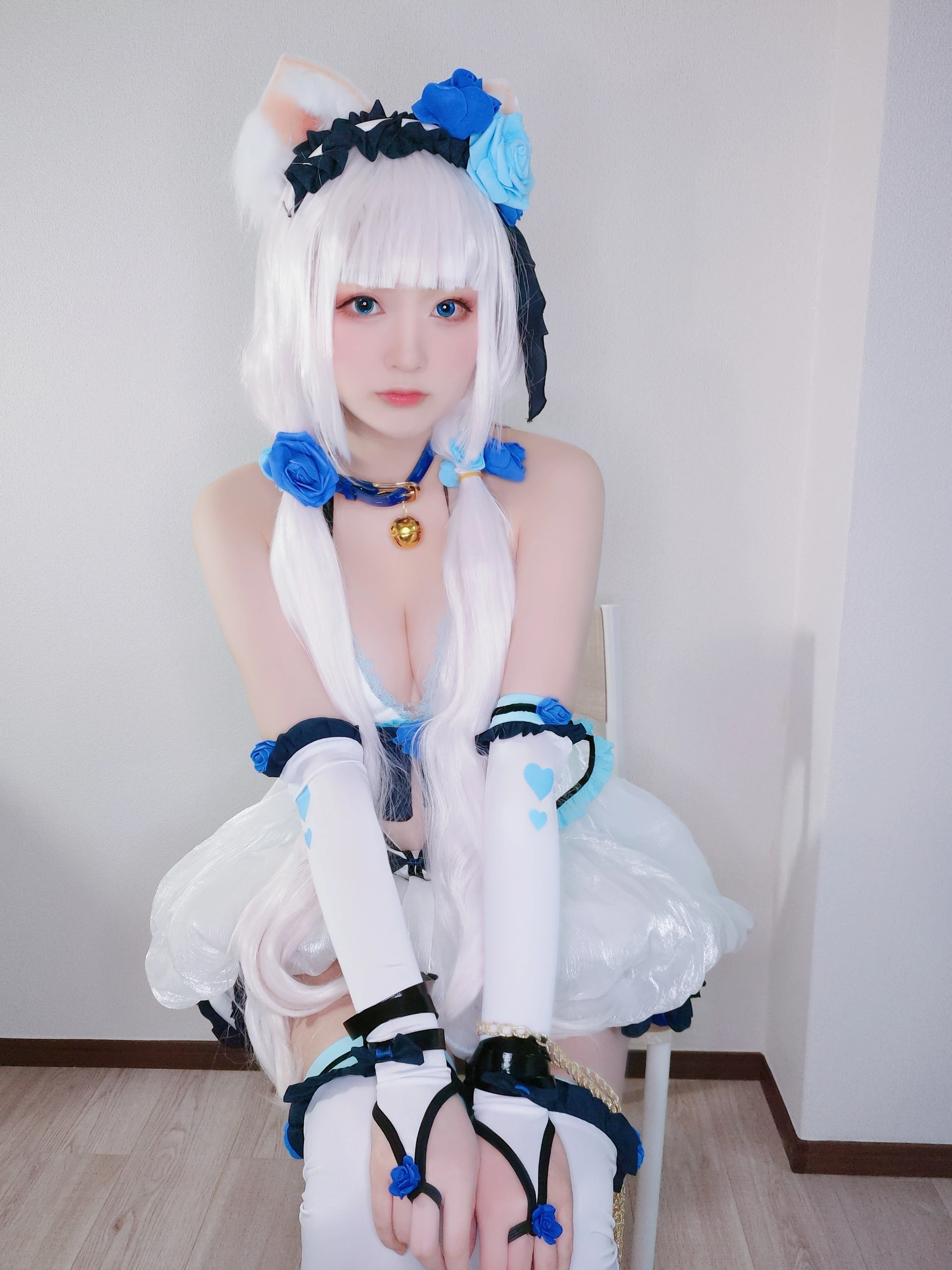 Yuki亭 - NO.19 バニラちゃん💙 (ネコぱら) 1